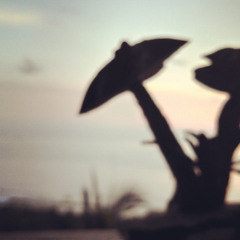 Corey J. Kothenbeutel