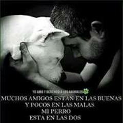 Miguel Morroy
