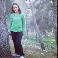 حميد الشاعري