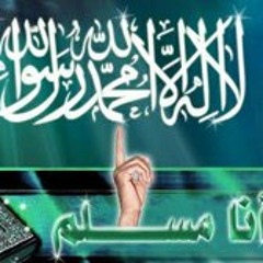 Mohamed Mahdy 48