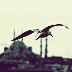 Asmaa Al Makkawy
