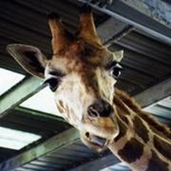 Paige Mayotte Peters