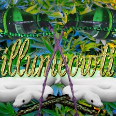illumeowti