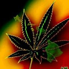 Johnathan Rodriguez 15