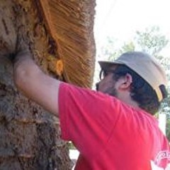 Zelmar Guillén Cano