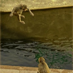 Amritamani Devi Dasi