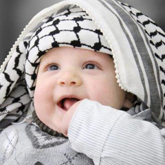 AHMED ZAYAN