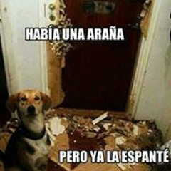 Kristy Juliet Saldaña