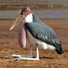 marabu xxlmilvus