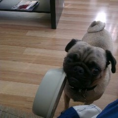 Daniel White (Benji241)