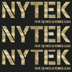 NYTEK DJS