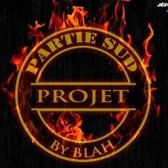 Partie Sud Projet France
