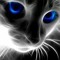 Chaos Kitty 1
