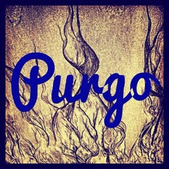 Purgo