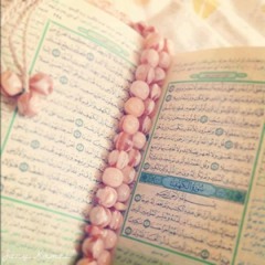 مفضلاتي