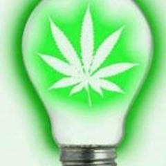 Marco van der Heijde