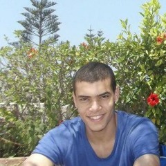 Ahmed ElHodaiby
