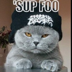 The Gangsta Cat