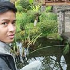 Fikri Felipe Raikkonen