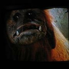 Beth Etherington- O'Shea