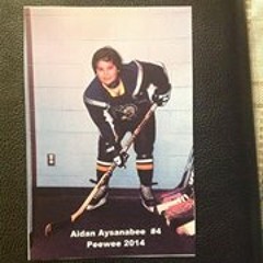 Aidan Aysanabee
