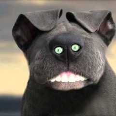 Rob P (One Armed Billy)