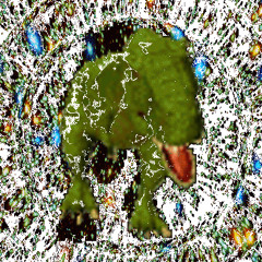 Ryan K 9