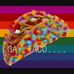 Gay Taco