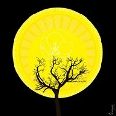 달을 사랑한 물고기