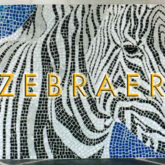 z e b r a ︻╦╤─