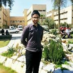 Ibraheem Altaee