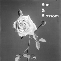 Bud&Blossom