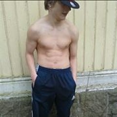 Roman Mc Leino
