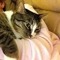 Cristy Kovach Hom