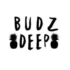 BUDZDEEP