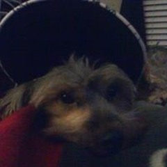 Nasire Stinkynas Morris