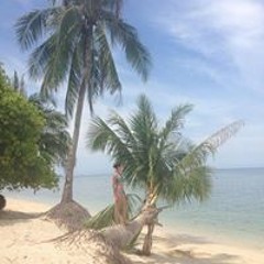 Patricia van Wieringen