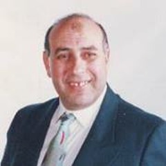 Wafik Elbohy