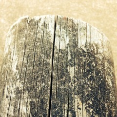 Connor Anderson Music