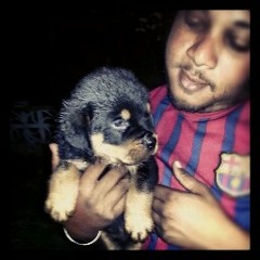 REVOLUTION SOUNDZ BIM