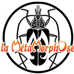 Asso Metamorphose