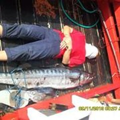 thai