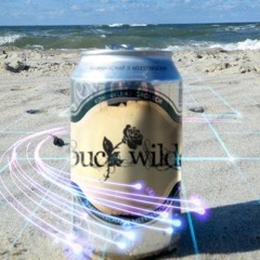 Buck Wilde (Live Sets)