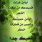 Apo Ayman Z