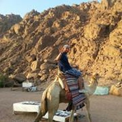 Ehab Mohammed Labib