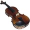 peakfiddler