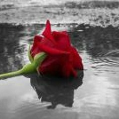 باران عشق (أمطار الحب)