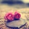 Waleed Fahim