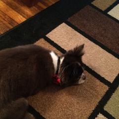 Alexandra Barragan 1