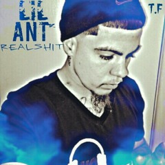lil ant world